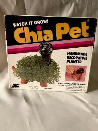Vintage 1983 Dinosaur Chia Pet Handmade Decorative Planter Dino Plant Rare