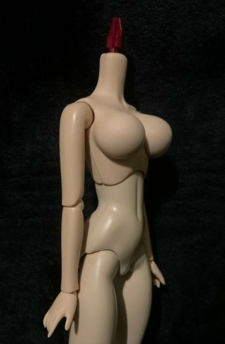 Volks Dollfie Eb Beauty 1/6 Scale Action Figure Doll Body Large Bust