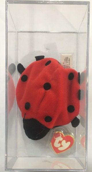 Authenticated Mwmt - Mq Lucky - 7 Dots 3rd/1st Gen Ty Beanie Baby 4040