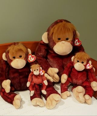 4 Ty Family Orangutan Schweetheart X - Large Large Beanie Buddy Beanie Baby Monkey