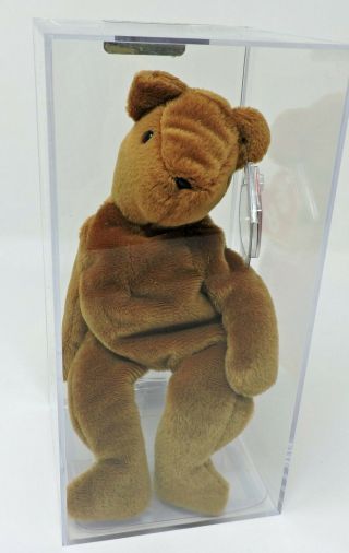 Authenticated Ty Beanie Baby Old Face Brown Teddy 2nd 1st Canadian Mwmt Mq
