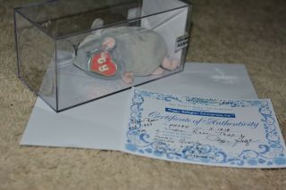Mwmt Mq Trap Authenticated Ty Beanie Baby 2nd Hang 1st Gen Tush Peggy Gallagher