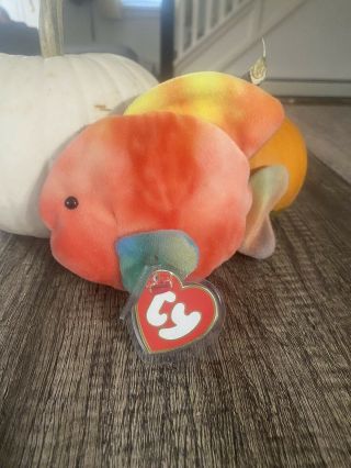 Ty Beanie Babies Coral The Fish 3rd/1st Mwmt