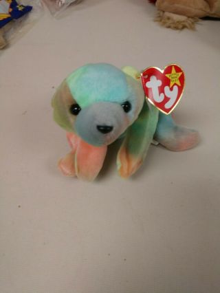 Ty Beanie Baby 1998 “sammy” The Bear.  With Rare Collectible Tag Errors.