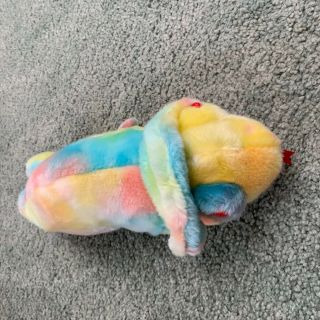 1999 Ty Beanie Baby Large Rainbow The Chameleon With Tags 13 "