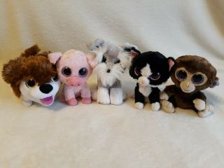 5 Big Eyes Plush - Ty Pig,  Cat,  Schnauzer,  Monkey & My Plush Toy Dog