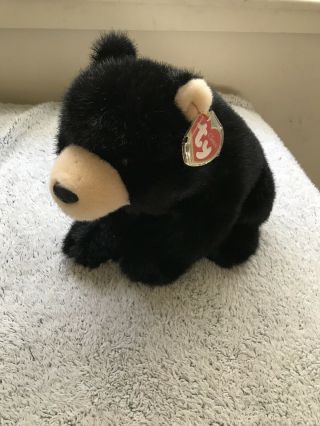 Vintage 2002 Black Bear Realistic Ty Classic Sitting Stuffed Animal Forest Plush