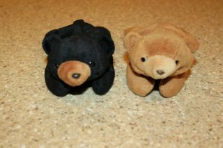 2 Ty Beanie Babies Bears Brownie Cubbie & Blackie 1st Gen Tush Tag Brown & Black