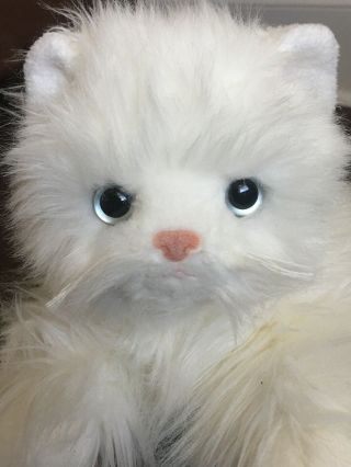Ty Sugar White Persian Fluffy Cat Kitten 2002 Plush Stuffed Animal 16” Buddy