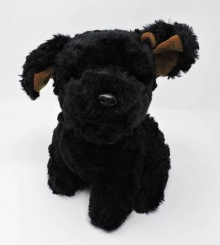Ty Black Dog Ashes Classic Plush 8 " Soft Toy 1995 Puppy Stuffed Animal Mwmt