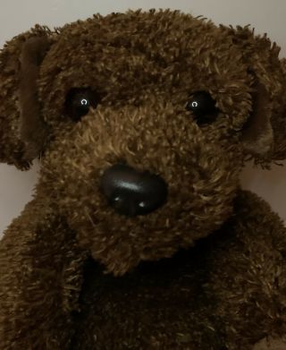 Ty Classic “flopper” Dog Plush Retired 2000 Shaggy Brown 16” Stuffed Animal Rare