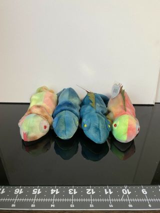 Ty Beanie Babies 1997 Rainbow The Chameleon And Iggy The Iguana Two Variations