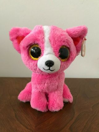 Pashun The Pink Chihuahua 2016 Gift Show Exclusive 6 " Ty Beanie Boo Tags