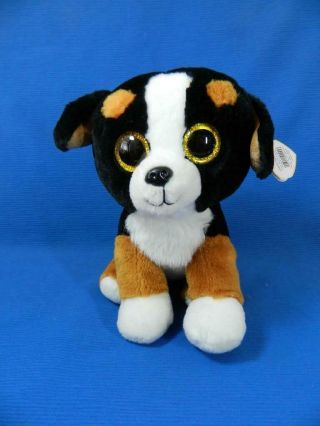 Ty Roscoe Beanie Boos Dog 10 " Puppy Black Brown White Velvety Plush Toy Hang Tag
