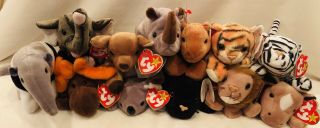 Ty Beanie Babies - 12 Wild Animals.  Collectibles