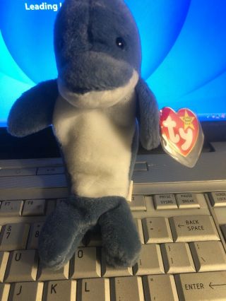 Ty Beanie Babies Echo The Dolphin.  No Errors That I Can See