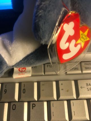 Ty Beanie Babies Echo The Dolphin.  No Errors That I Can See 2