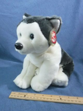 Ty Nanook Husky Beanie Buddies Buddy Babies Plush Tags 1999 Dog 12 " Gray White