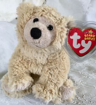 Ty Beanie Baby Parka The Polar Bear 6 " (2006 Release) Nwmt