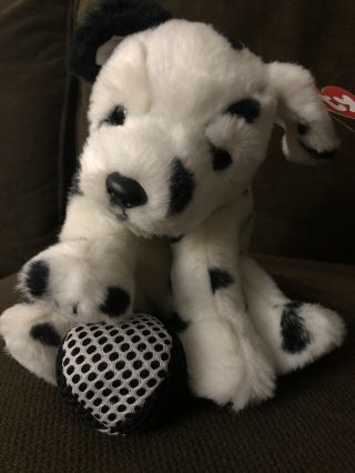 Rare 1997 Ty Classic Ace,  Black/white Spotted Dalmatian Dog,  11 " Retired Htf