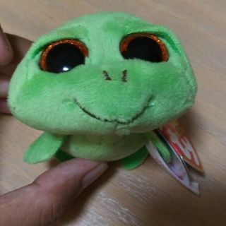 Ty Boo 3.  5 " Clip Zippy Green Sea Turtle Glitter Eyes Rare Dob:5/6 