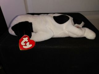 Ty Beanie Baby Spot The Dog 3rd Gen Tag Dirty