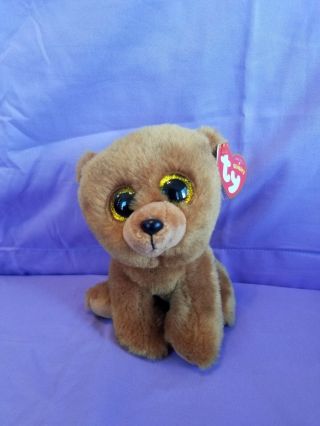Ty Beanie Babies,  Brownie The Brown Bear,  Small,  With Tags