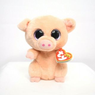 Ty Beanie Babies Boos 6 " Piggley The Pig Plush With Tags Stuffed Animal
