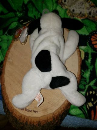 Ty Spot The Black And White Dog Style 4000 Pvc Dob 1 3 1993