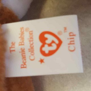 Ty Beanie Baby CHIP Calico Cat Kitty TAGS Retired Jan 26 1996 MWMT 3