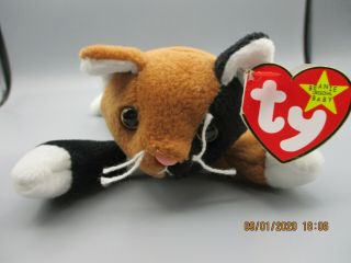 Ty Retired Beanie Baby Chip / Perfect Tags