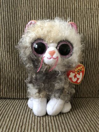 2019 Ty Beanie Boos 6 " Scrappy The Curly Haired Cat Plush Mwmts Ty Heart Tags
