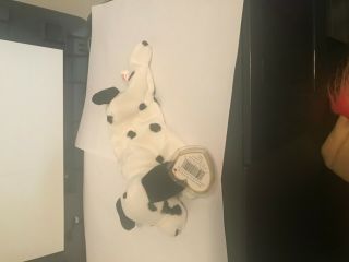 1996 Ty Beanie Baby " Dotty " The Dalmation With Tag Never Displayed