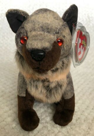 Ty Beanie Baby 2000 Howl Coyote Wolf Dob May 23,  2000 Mwmt