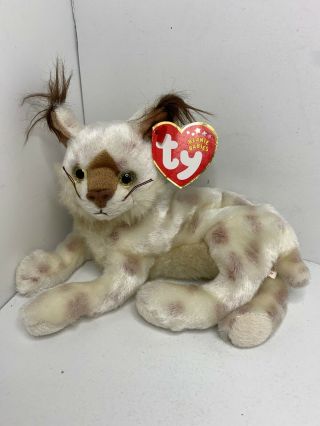 Ty Beanie Babies 2001 Tracks Lynx Cat Stuffed Animal Plush Kitten 9 " With Tag