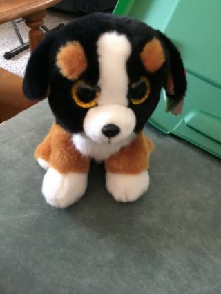 Ty Roscoe Beanie Boos Dog 6 " Puppy Black Brown White Velvetty Plush Toy Doll