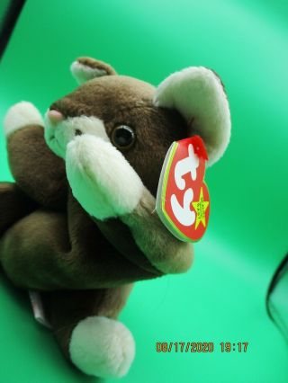 Ty Retired Beanie Baby Pounce - Perfect Tags