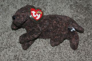 Ty Beanie Baby Chocolate Lab Fetcher,  Dog,  With Tags