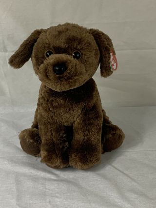 Ty Classic Beanie Baby Brown Harley Puppy Dog 10 " Plush Stuffed Animal