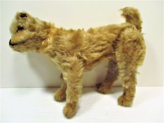 Early Steiff Plush Dog,  Terrier? With Old Button In Ear,