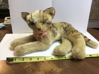 Rare Steiff Large Plush Tabby Cat With Bow