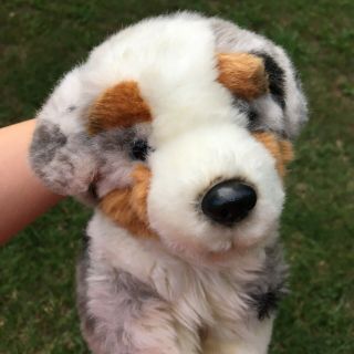 Rare Webkinz Signature - Australian Shepherd Dog (no Code) Plush Only - Blue Eyes