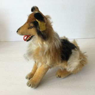 Vintage Large Steiff Dog Collie Mohair With Button Id Tags Made In Germany