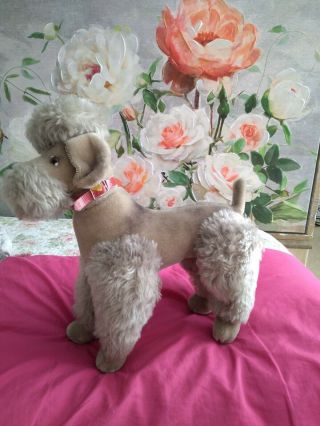 Vintage Steiff German Mohair Snobby Poodle Approx 12.  5.  In.  Long When Standing