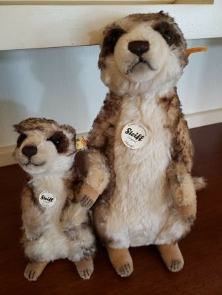 Steiff Mungo Meerkat 071249 Cockie 04525 Mohair Germany Collectible All Tags