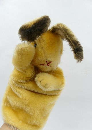 Vintage Steiff Bunny Rabbit W Glass Eye Hand Puppet