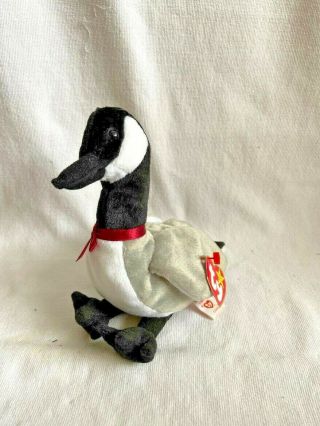 Loosy The Canadian Goose 1998 Ty Beanie Baby Retired Rare Vintage Collectible