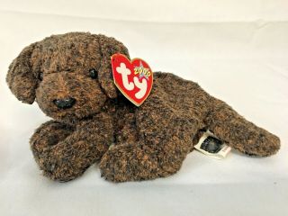 Ty Beanie Baby - Fetcher The Puppy Dog Mwmts Plush Stuffed Animal Toy