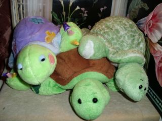Ganz Webkinz Daisy Tortoise Turtle Spotted And More Pick No Codes Plush