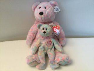Ty Celebrate The Bear Buddy & Matching Beanie Babie With Tags In Protectors
